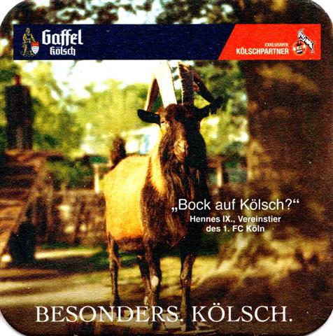 k�ln k-nw gaffel beson fc k�ln 4b (quad180-bock auf k�lsch)